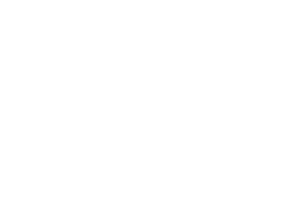 Supply Chain Carrier Invoice Audit