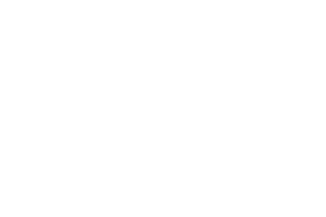 SAN Complete End-to-End Supply Chain Logistics - Order Optimization Icon