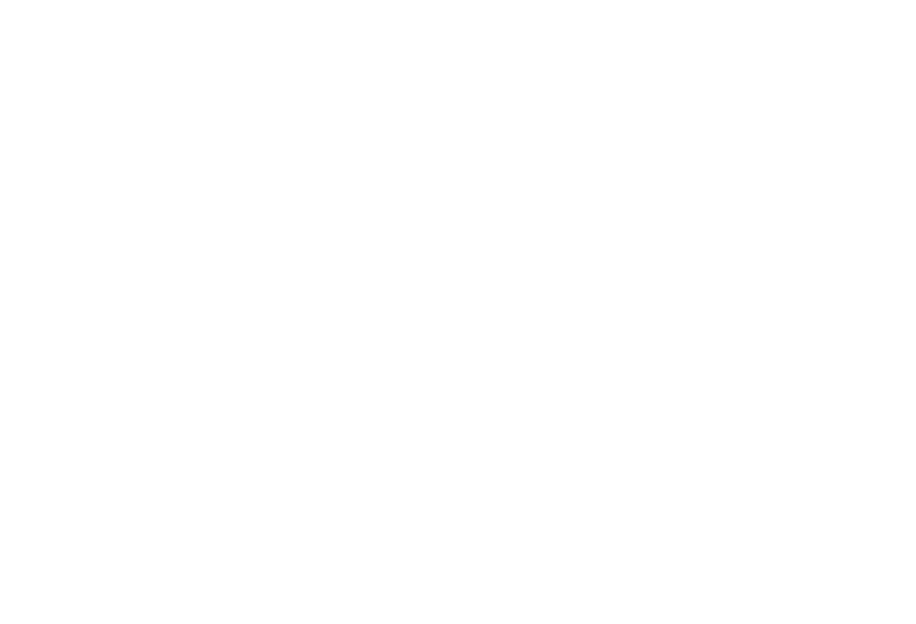 SAN Complete End-to-End Supply Chain Logistics - Order Optimization Icon