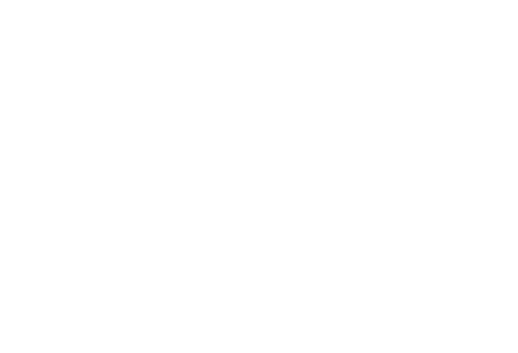 SAN Complete End-to-End Supply Chain Logistics - Compliance