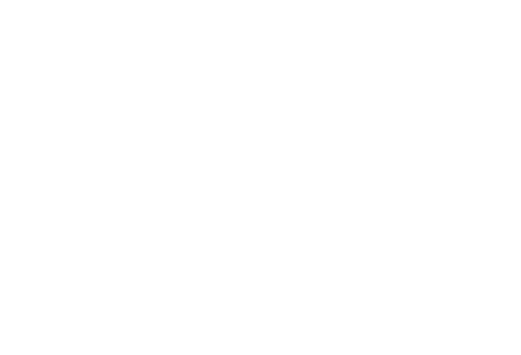 SAN Complete End-to-End Supply Chain Logistics - Integrated Systems