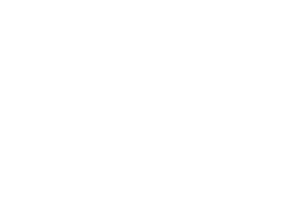 SAN Complete End-to-End Supply Chain Logistics - Retail