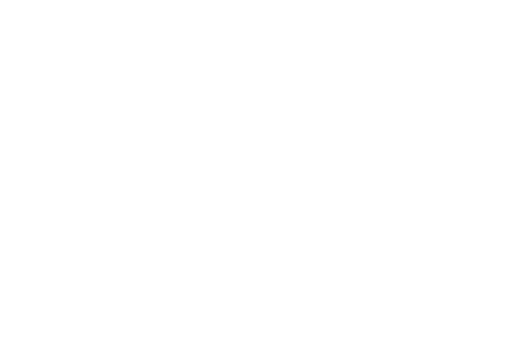 WMS